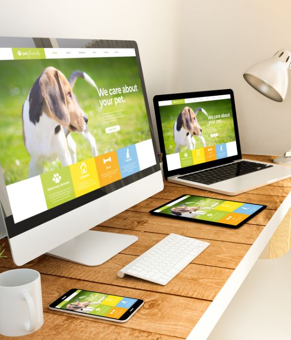 Responsive Website Design